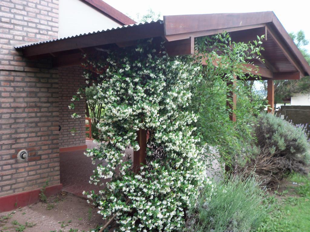 Cabanas El Dominador La Falda Bagian luar foto